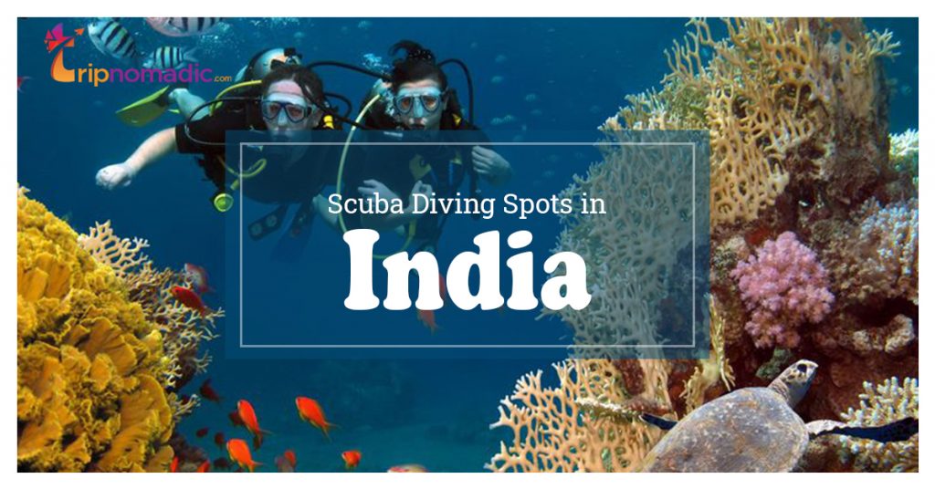 10 Best Scuba Diving Spots In India Tripnomadic