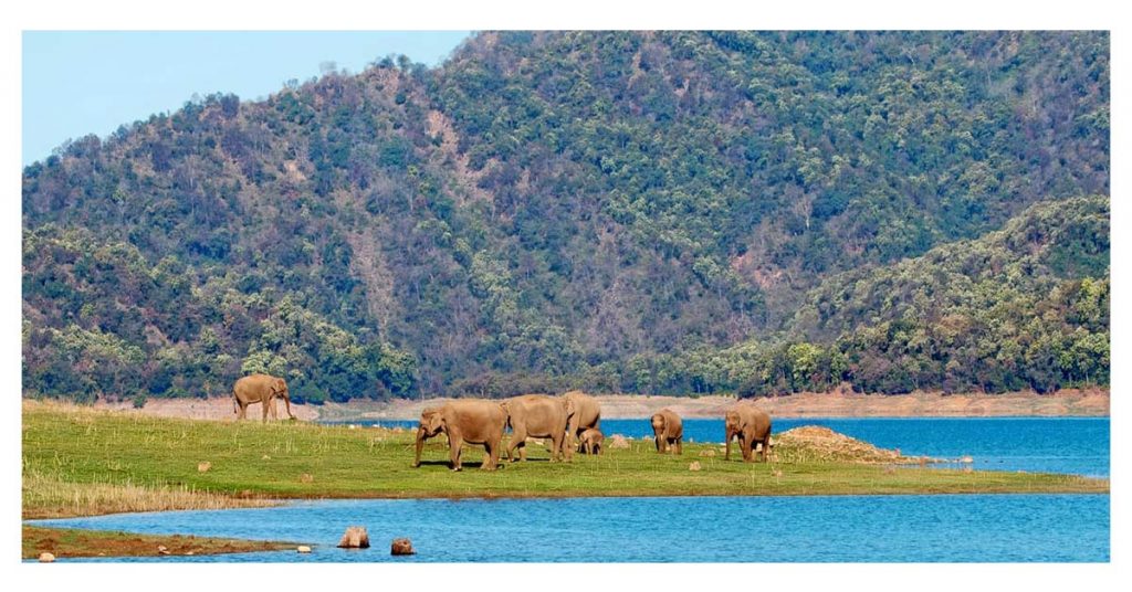 Jim Corbett