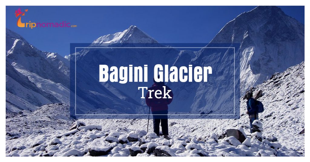 bagini glacier trek