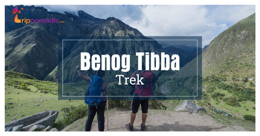 Benog Tibba Trek: An Essential Travel Guide - Tripnomadic