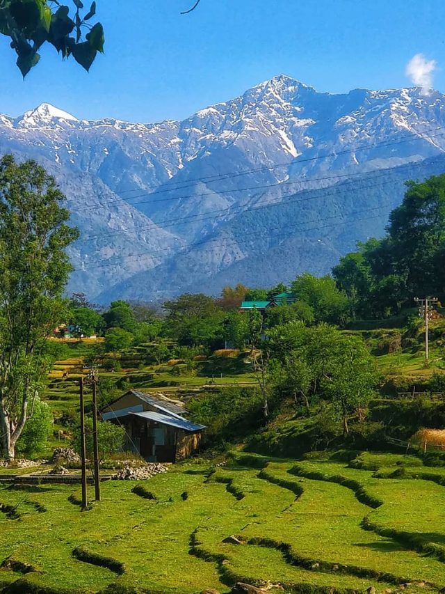 Best Places In Kangra - Tripnomadic