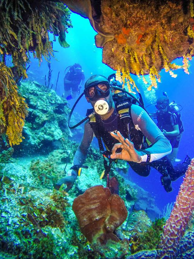 10 Top Scuba Diving Places In India Tripnomadic 