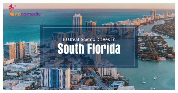 10 Great Scenic Drives In South Florida