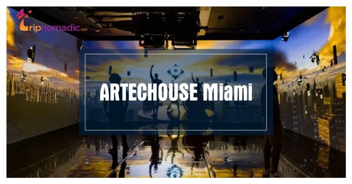 ARTECHOUSE Miami