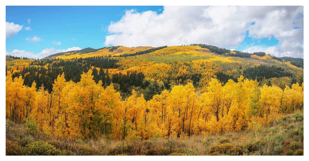 Kenosha Pass