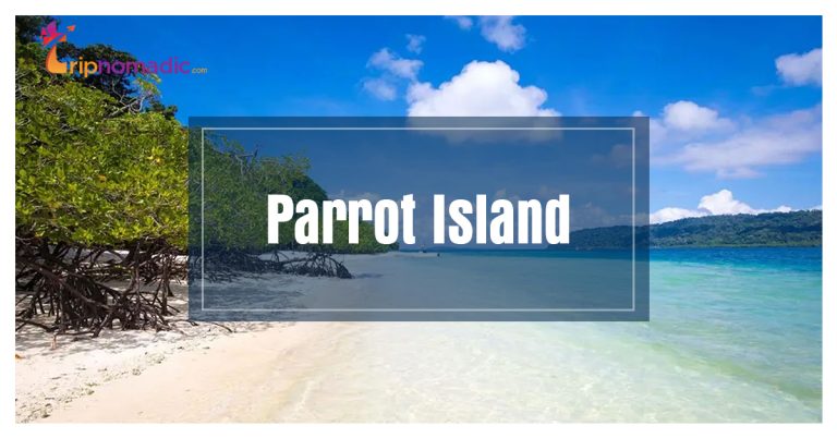 10 Reasons Why You Should Visit Parrot Island In Andaman Tripnomadic