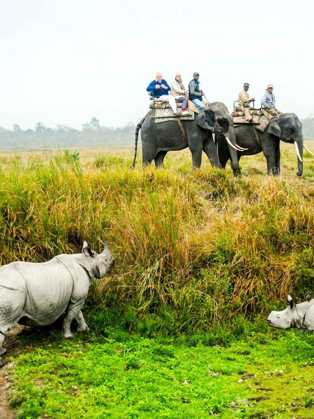 Assam Travel Guide - Tripnomadic