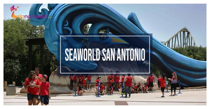 Seaworld San Antonio