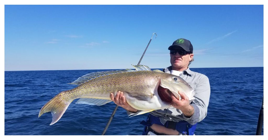 Badfish Sportfishing