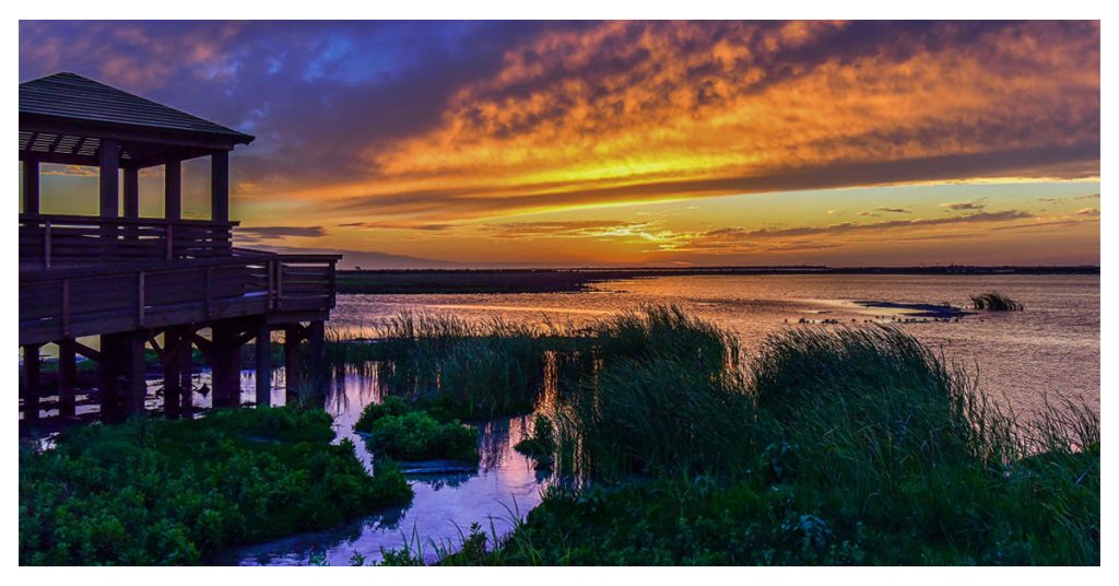 The Leonabelle Turnbull Birding Center