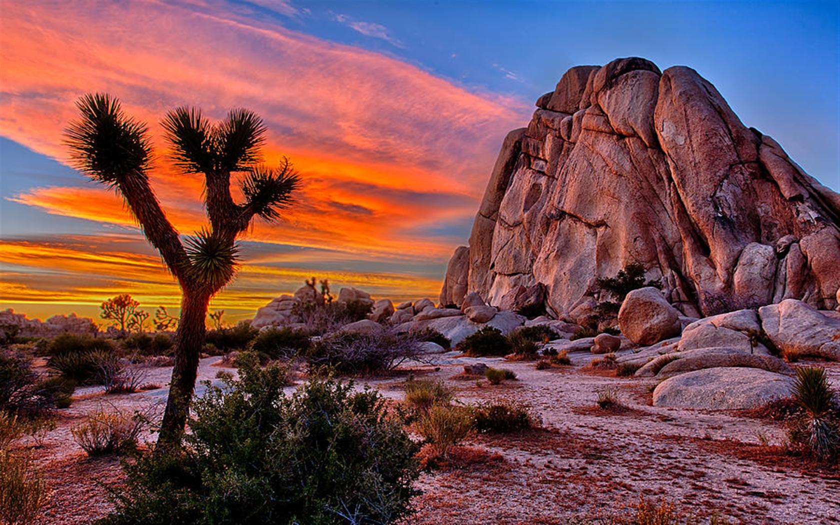 Joshua Tree Highway Ultra HD Desktop Background Wallpaper for 4K UHD TV   Tablet  Smartphone