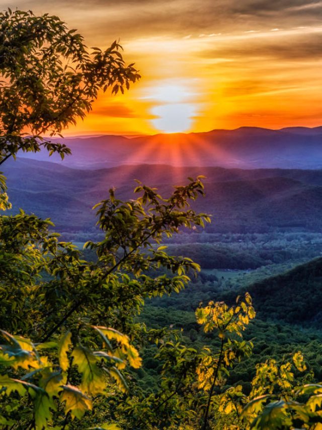 Blue Ridge Mountains Mountain in the United States - Tripnomadic