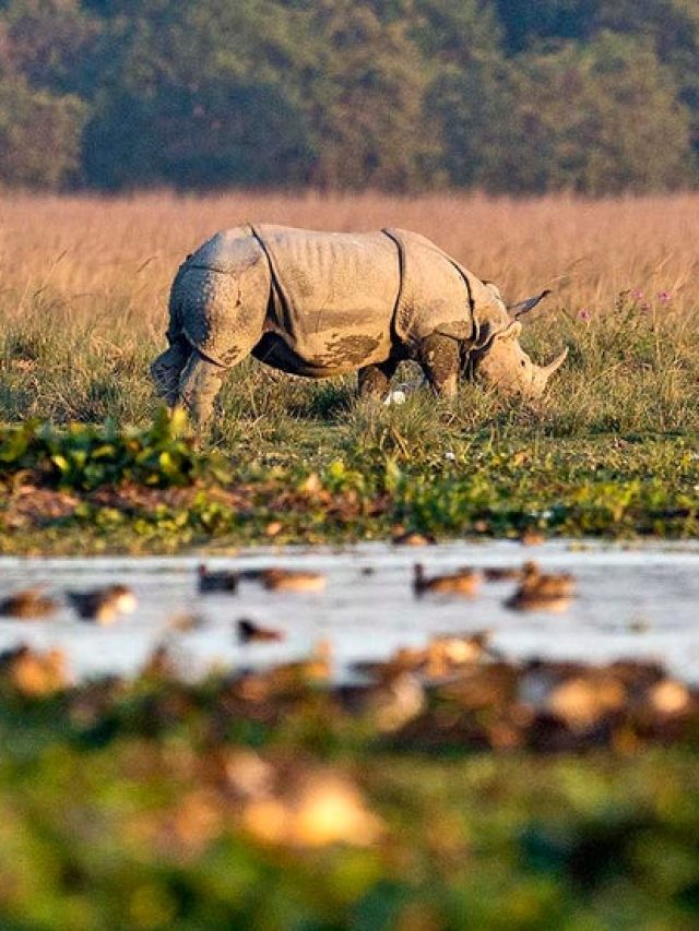 Gandacherra Wildlife Sanctuary - Tripnomadic