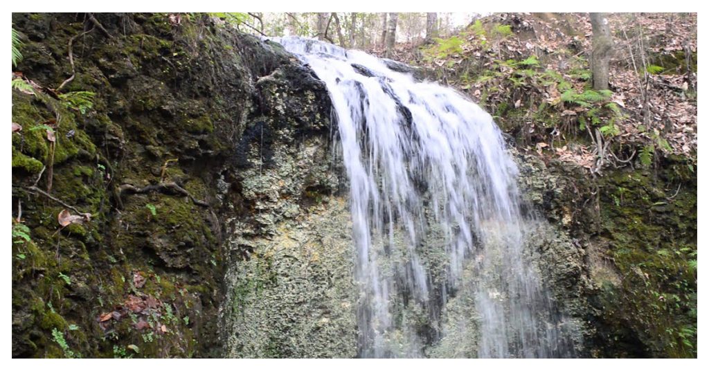 Falling Waters State Park's Sinkhole