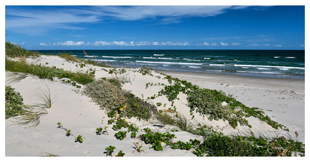 Padre Island National Seashore