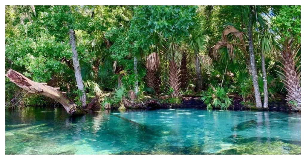 Rainbow Springs State Park