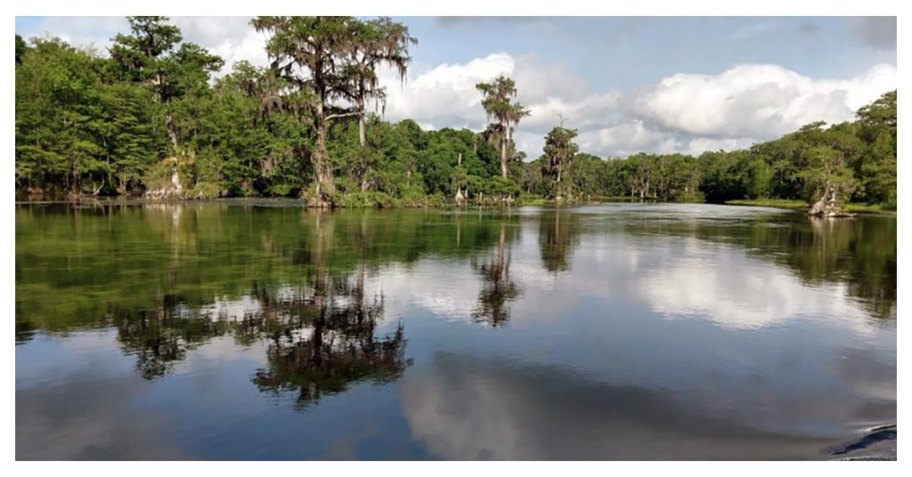 Wakulla Springs