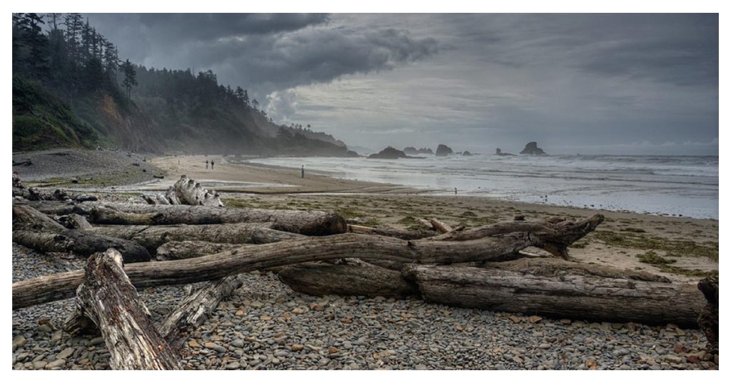Ecola State park
