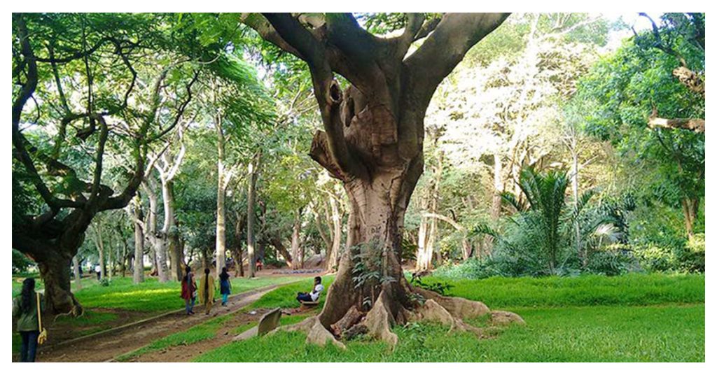 Chilling at Cubbon Park